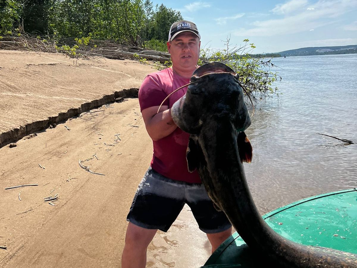 Превью новости