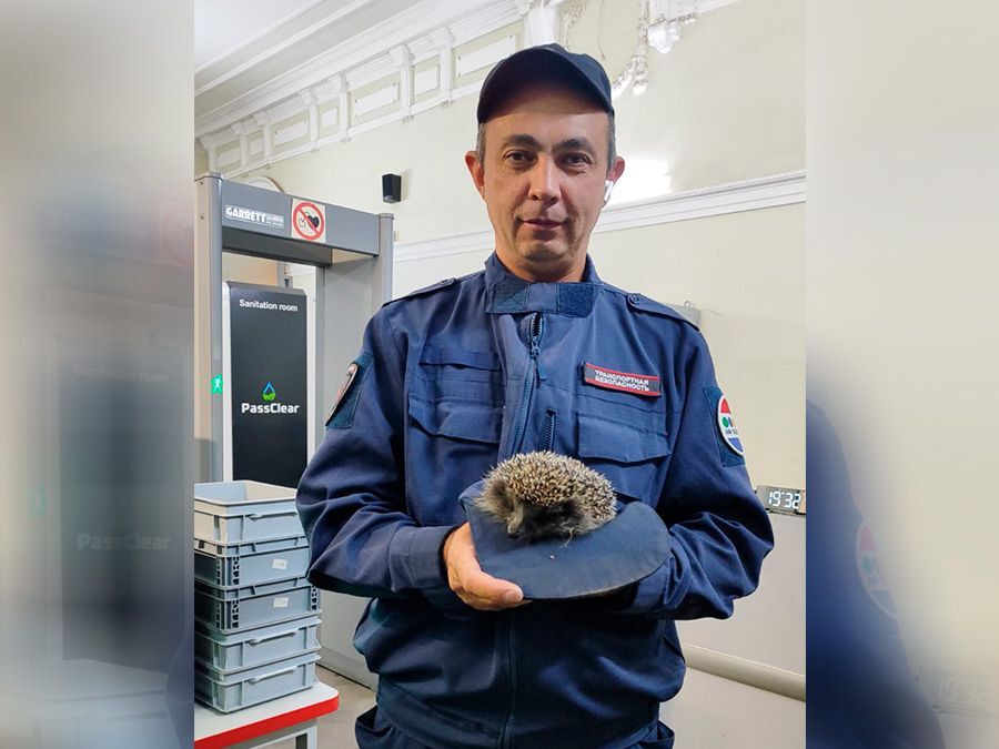 Превью новости